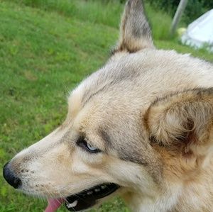 Meet your Posher, Jeff